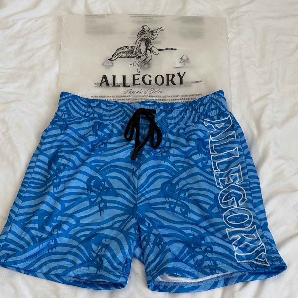 Allegory Men's Shorts, Size Medium NEW